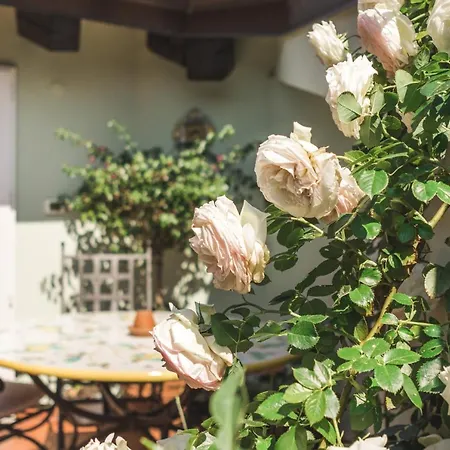 公寓 Palazzo Salem M1 Roof Garden 的里雅斯特