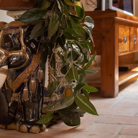 Palazzo Salem M1 Roof Garden アパート トリエステ